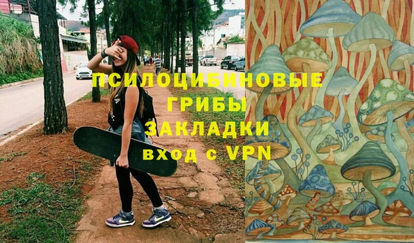 МДПВ Алексеевка