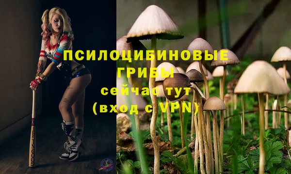 МДПВ Алексеевка