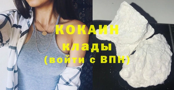 молекула духа Алексин