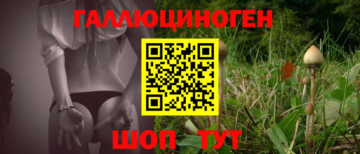 Галлюциногенные грибы ЛСД  Вход с VPN  Псилоцибиновые грибы GOLDEN TEACHER  Петровск 
